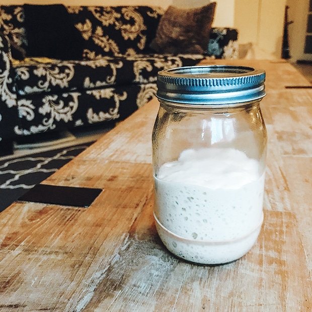 How to feed sourdough starter