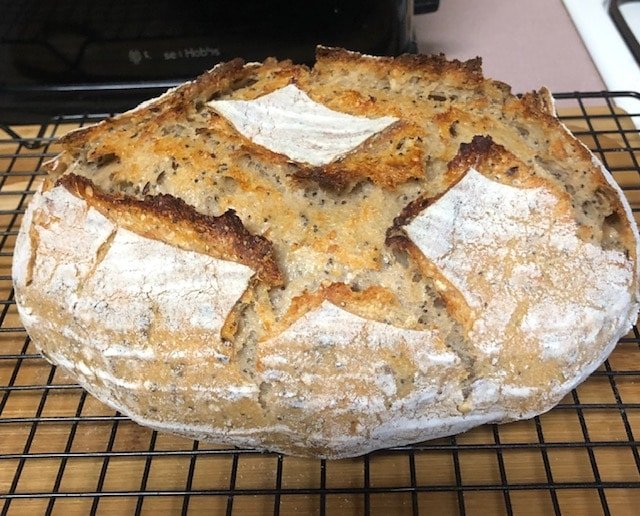 no knead sourdough recipe easy organo and parmesan bread - customer recipe
