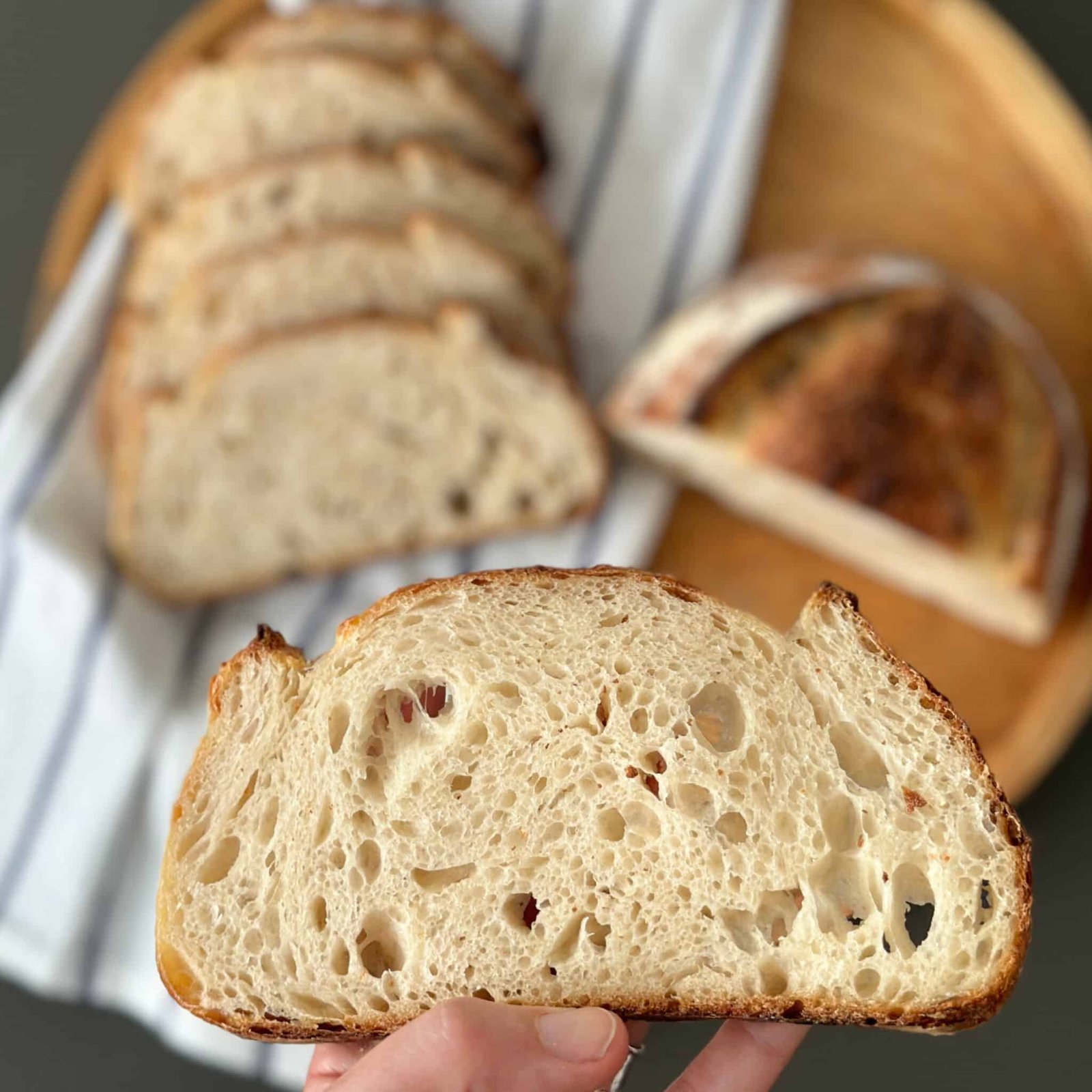 Rustic Starters THE RUSTIC ITALIAN Organic Sourdough Starter Kit | Beautiful Living ...