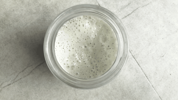 A photo showing what deflated sourdough starter looks like