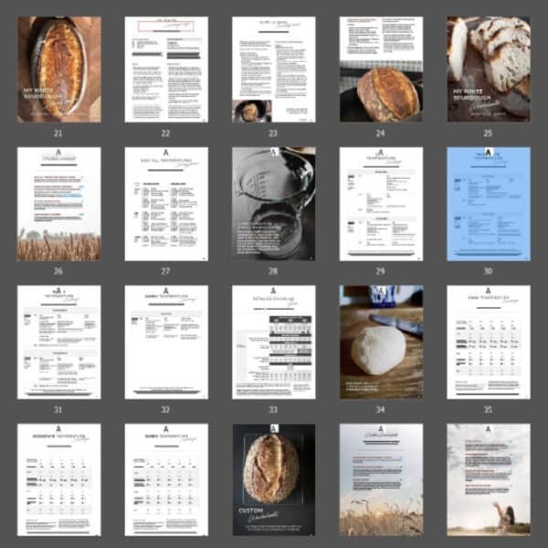 Sourdough Bread eBook. Why sourdough bread is flat. Fix flat sourdough bread.