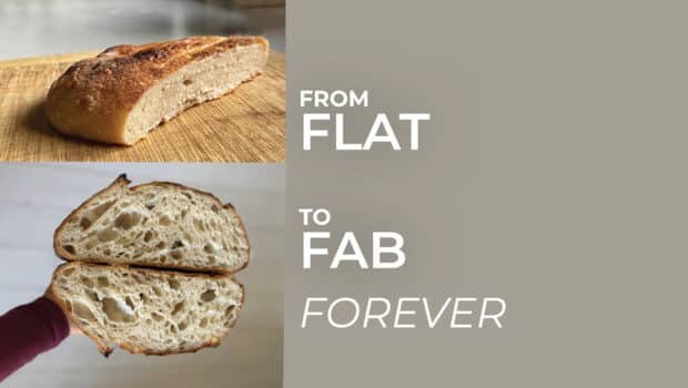 Sourdough Bread Troubleshooting Guide and FAQ - A Beautiful Plate